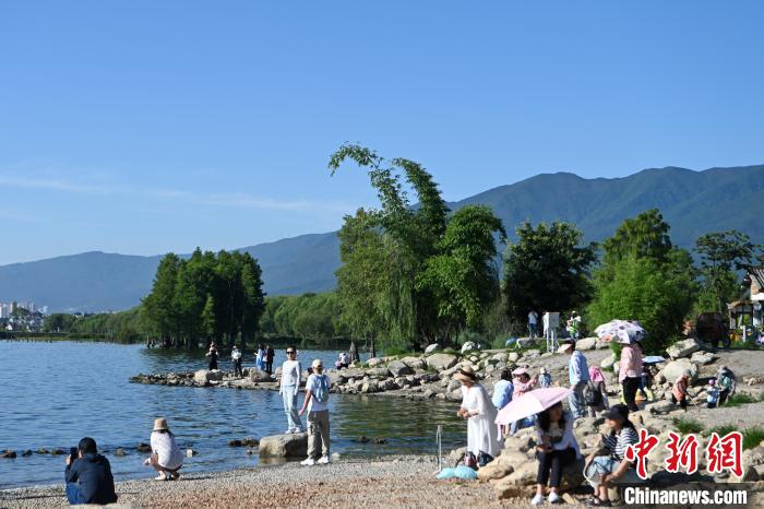 賭馬：雲南大理洱海迎來暑期旅遊旺季