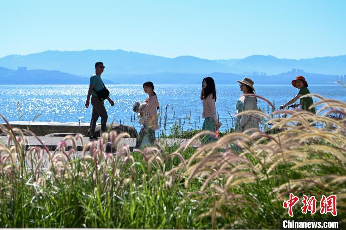 賭馬：雲南大理洱海迎來暑期旅遊旺季